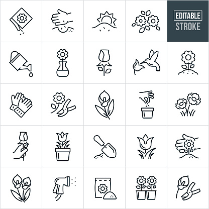 A set of flowers and floral icons that include editable strokes or outlines using the EPS vector file. The icons include a flower seed packet, hand planting seeds, growing flowers, flowers, water pail, flower in a vase, rose, hummingbird at flower, flower growing from the ground, gardening gloves, cut flowers with pruning shears, calla lily, tulips in pot, garden trowel, water sprayer, potting soil, fertilizer, flower garden and other related icons.