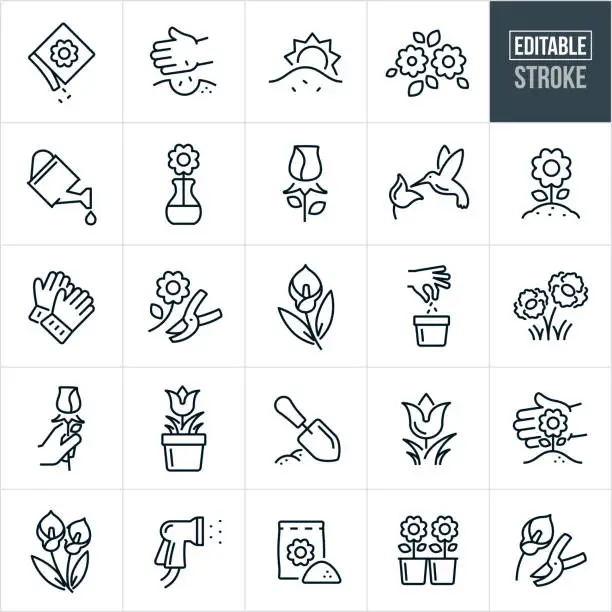 Vector illustration of Flowers And Floral Thin Line Icons - Editable Stroke