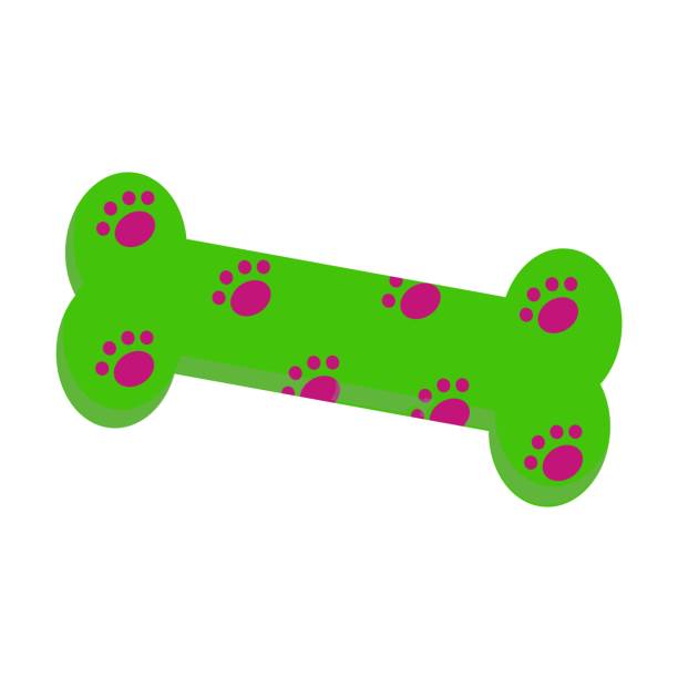 ilustraciones, imágenes clip art, dibujos animados e iconos de stock de el hueso es un juguete para un perro. ilustración vectorial. - animal skeleton illustrations