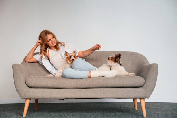 istock Front view. Woman is sitting on a sofa with two cute dogs 1484877930