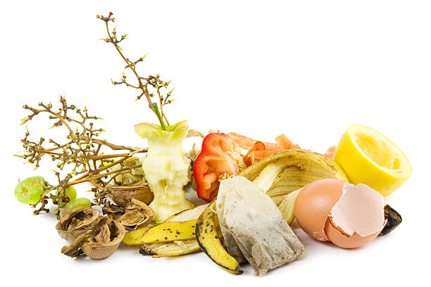 Waste food ready for compost on a white background