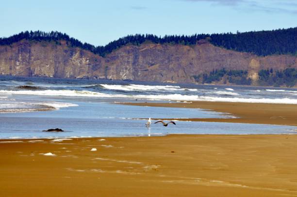 Tierra del Mar beach in Oregon bluff scenic background stock photo