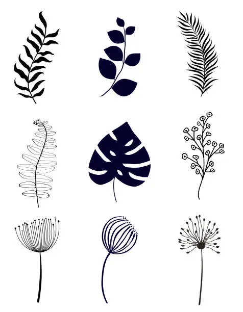 Vector illustration of Set of floral  elements isolated on white