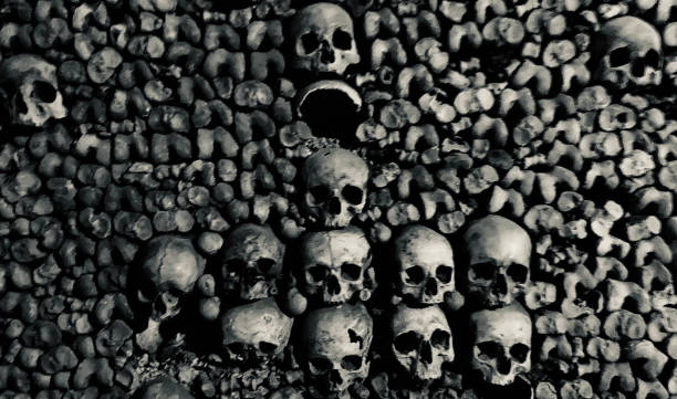 istock Skulls in the Catacombs of Paris 1484885932