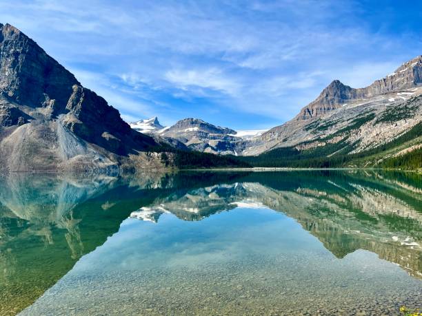 ボウ湖氷河の景色を望むボウ湖 - bow lake ストックフォトと画像