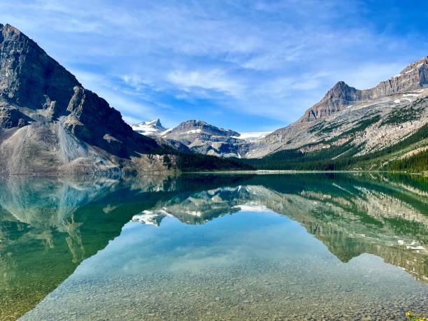 bow lake with view of bow lake glacier - bow lake imagens e fotografias de stock