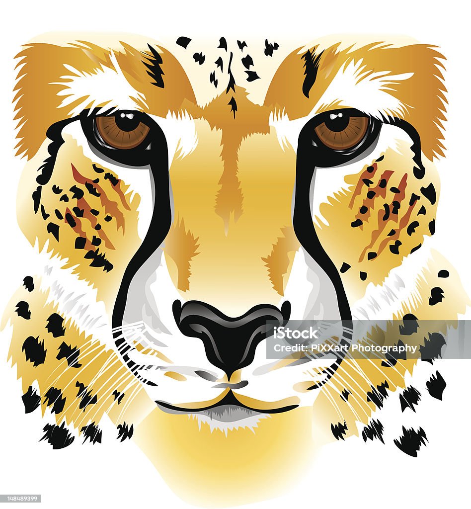 Cheetah face A large jpeg is included Africa stock vector