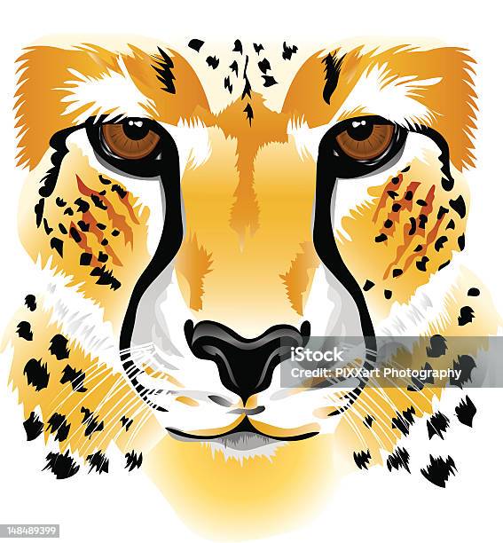 Cheetah Face Stock Illustration - Download Image Now - Africa, Animal, Animal Body Part