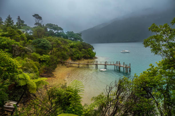 senderismo por la pista queen charlotte entre queen charlotte sound y kenepuru sound en marlborough sounds en la isla sur de nueva zelanda. - queen charlotte track fotografías e imágenes de stock