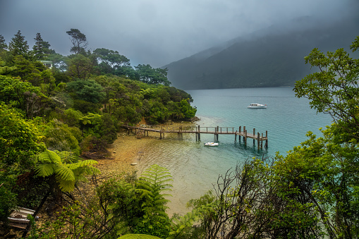 Hiking the Queen Charlotte Track between Queen Charlotte Sound and Kenepuru Sound in the Marlborough Sounds in New Zealand's South Island.