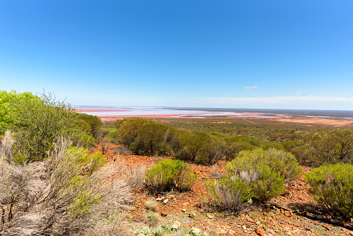 Bush landscape with salt lake, Lake Lefroy, Kambalda, Western Australia, Australia
