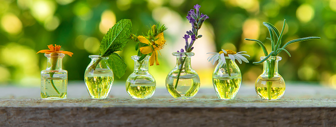 Essential oils and herbal extracts in small bottles. Selective focus. nature.