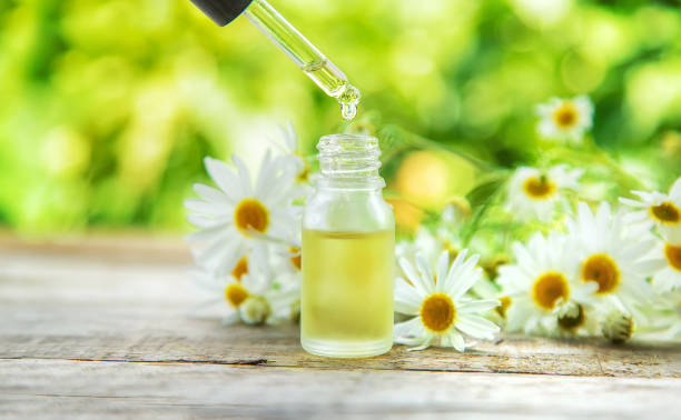 istock Chamomile essential oil in a small bottle. Selective focus. 1484898748