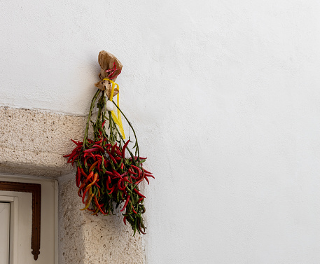 One bunch of dried red hot peppers hanging on the white wall of an apartment building near the doorway on the left and with copy space on the right, in the city of Ostuni, Italy, close-up side view.