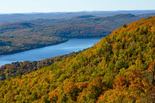 istock Erable in atumn seans in Canada 1484903968