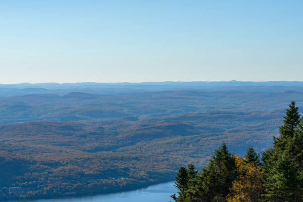 istock Erable in atumn seans in Canada 1484904461
