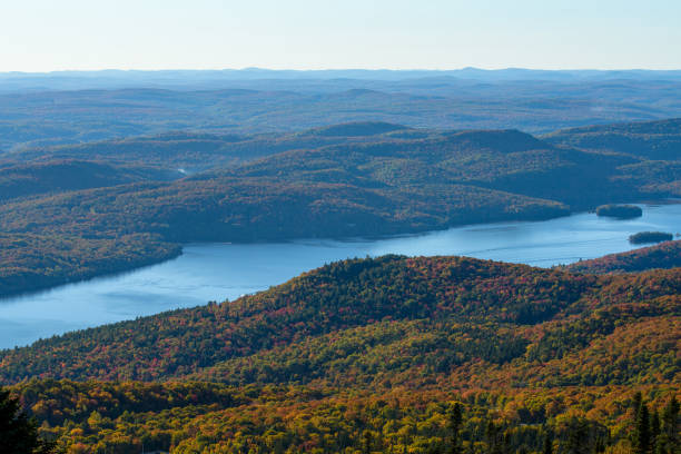 istock Erable in atumn seans in Canada 1484904659