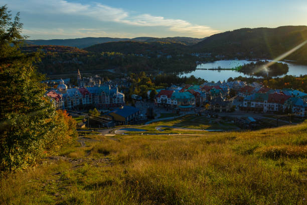 istock Erable in atumn seans in Canada 1484905671