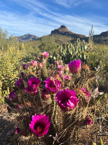 Superstition mountains near Phoenix Arizona