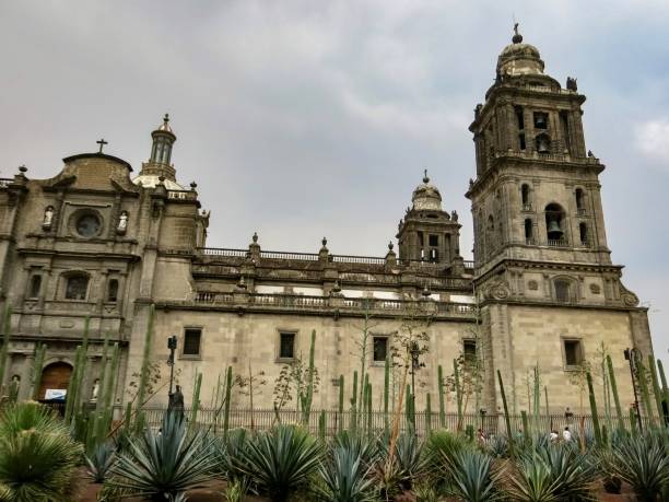 istock Cathedral in Mexico City 1484908097