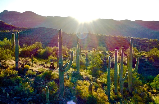 Superstition mountains near Phoenix Arizona