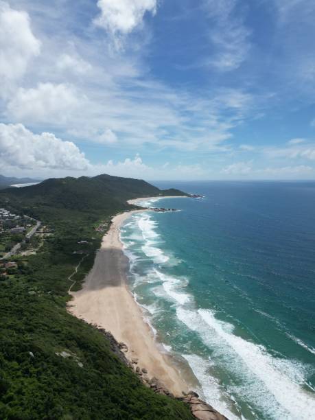 istock Aerial view of soft ocean waves on a sandy beach 1484911087