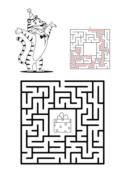 Vector illustration of Maze game for kids with solution. Let's help tiger to find way to his present. Animal character puzzle learning coloring book page design template Labyrinth black and white outline vector illustration