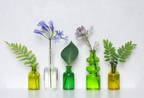 Flowers and leaves in colored glass bottles
