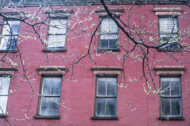 istock Facades of New York 1484913247