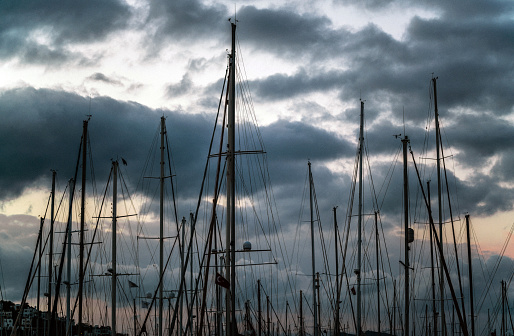 Yacht masts at sunset with crowds of birds