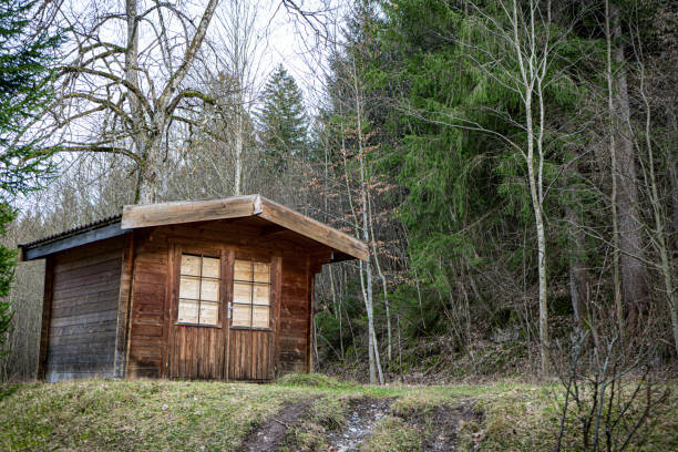 istock Mountain house built from wood logs 1484916471