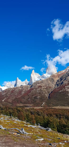 istock Patagonia, View from Mount Fitz Roy under a blue sky with scattered clouds. 1484919043