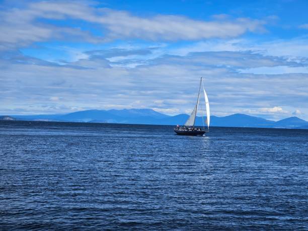 istock Sailing in the Sea 1484924206