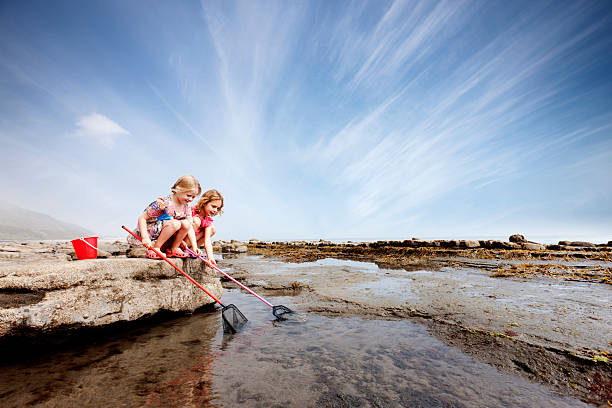 Rockpool fun Two  young girls, fishing in a rockpool. Crouching, balancing on the edge of the rocks. tidal pool stock pictures, royalty-free photos & images