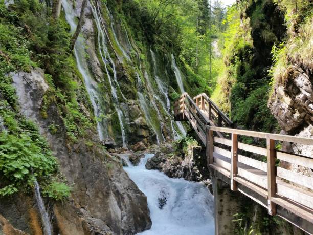 istock Spring in Upper Bavaria in the Wimbachklamm. 1484932850