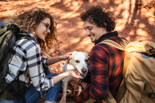 istock Young adventurous couple petting their white dog while on a hike 1484934861