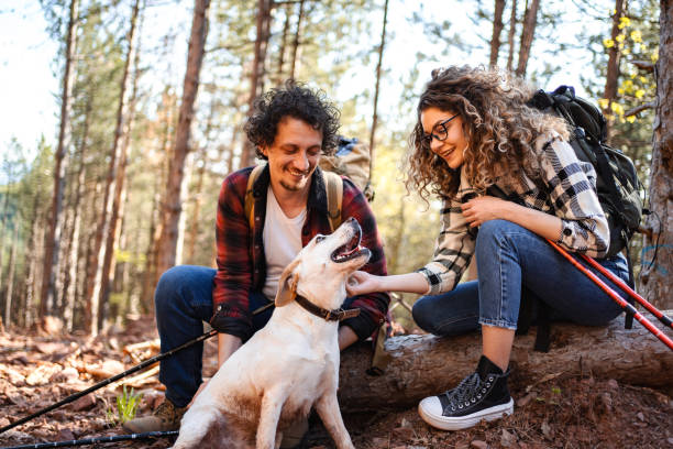 istock Young adventurous couple petting their white dog while on a hike 1484935209
