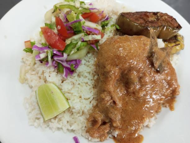 istock Spicy Chicken with rice and graden salad 1484939380