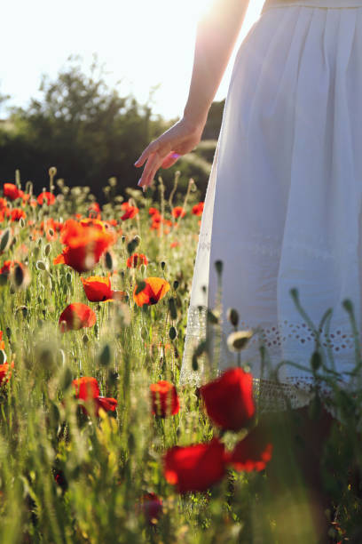 istock Young woman in a poppies field 1484940129
