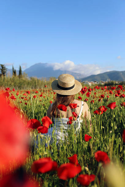 istock Young woman in a poppies field 1484940132
