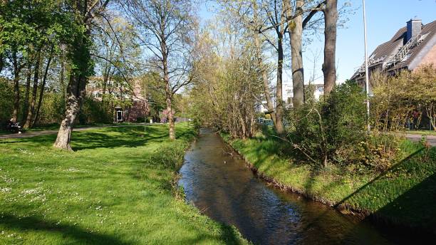 istock Germany. April. Spring in Julich. 1484947738