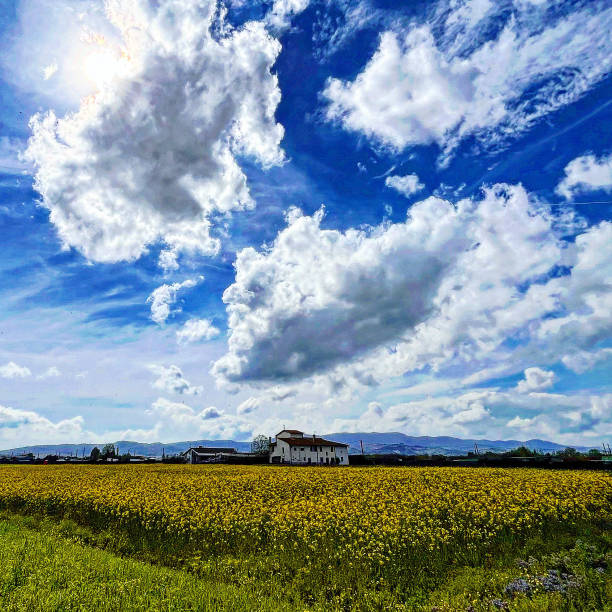 A landscape in Campi Bisenzio, Tuscany