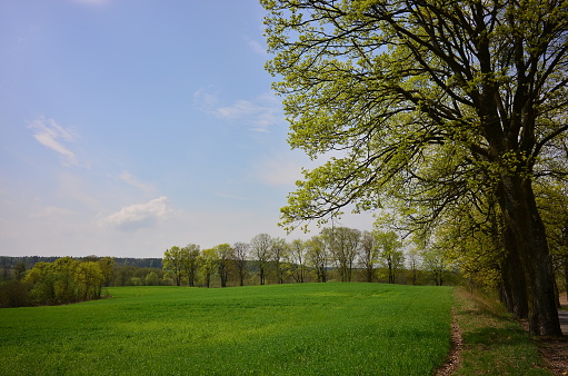 Landscape. Spring. Olsztyn area. Poland - Masuria - Warmia.