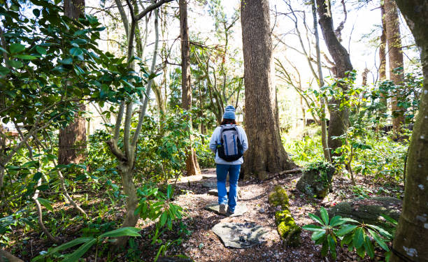 istock One woman backpack hiking through a forest 1484952975