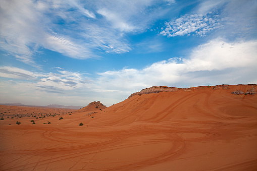 Dunes of Arabia