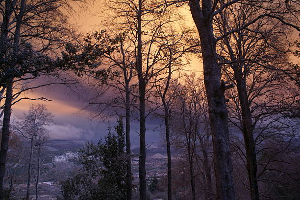 Strange dusk stock photo