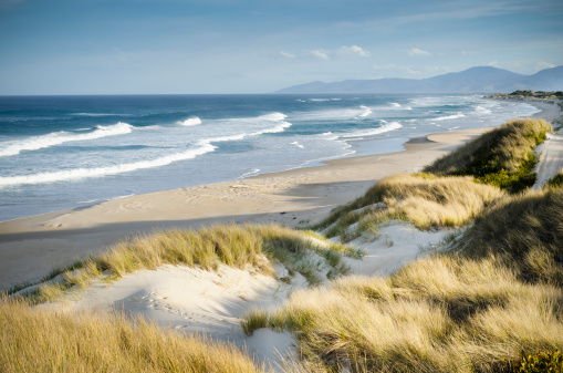 Windswept beach landscape. Marouard Beach, Tasmania, Australia