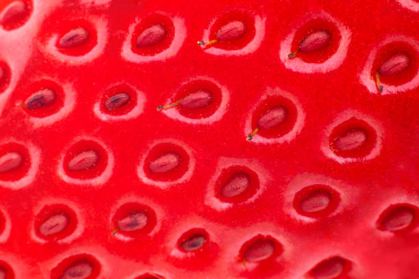 macro strawberry. Fresh red strawberries, close up. red strawberry background