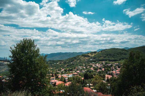 그리스의 언덕 위의 작은 마을 - greece blue forest national landmark 뉴스 사진 이미지