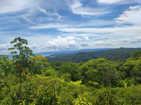 View of the Golfo Dulce region from Alto Los Mogos
